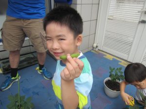 img_4206