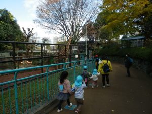 Nogeyama Zoo Field Trip🐘🦒🐻
